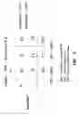 Fig. 06 - Assay systems, kits and methods for detecting microorganisms