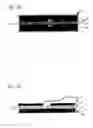 Fig. 02 - Device for binding molecules, molecular groups, molecular parts and/or cells