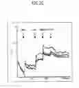 Fig. 04 - Enhanced inserted yellow fluorescence protein and its application