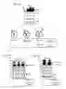 Fig. 08 - Methods and compositions relating to modulating amyloid precursor protein cleavage