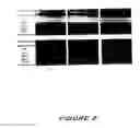 Fig. 03 - Methods of establishing profiles for use in evaluating wound healing and biocompatibility of implant materials and microarrays useful therefor