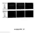 Fig. 04 - Methods of establishing profiles for use in evaluating wound healing and biocompatibility of implant materials and microarrays useful therefor