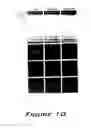 Fig. 11 - Methods of establishing profiles for use in evaluating wound healing and biocompatibility of implant materials and microarrays useful therefor