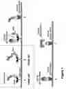 Fig. 02 - Sandwich assay and kit