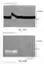 Fig. 53 - Polypeptides, their production and use