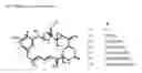 Fig. 02 - Methods for the production of ansamitocins
