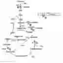 Fig. 01 - Aerobic succinate production in bacteria