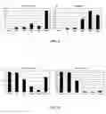 Fig. 10 - Aerobic succinate production in bacteria