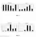 Fig. 11 - Aerobic succinate production in bacteria