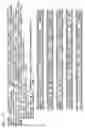 Fig. 11 - Nucleic acids encoding human inositolpolyphosphate 5-phosphatase