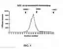 Fig. 07 - Beta-secretase enzyme compositions and methods