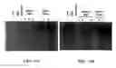 Fig. 44 - Beta-secretase enzyme compositions and methods