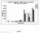 Fig. 46 - Beta-secretase enzyme compositions and methods