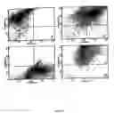 Fig. 02 - In vitro induction of antigen-specific T-cells using dendritic cell-tumor cell or dendritic cell-viral cell derived immunogens
