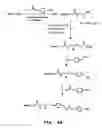 Fig. 05 - Gene delivery mediated by liposome-DNA complex with cleavable peg surface modification