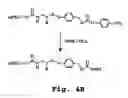 Fig. 06 - Gene delivery mediated by liposome-DNA complex with cleavable peg surface modification