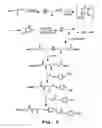 Fig. 07 - Gene delivery mediated by liposome-DNA complex with cleavable peg surface modification