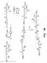 Fig. 08 - Gene delivery mediated by liposome-DNA complex with cleavable peg surface modification