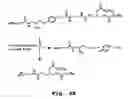 Fig. 09 - Gene delivery mediated by liposome-DNA complex with cleavable peg surface modification