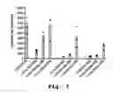 Fig. 10 - Gene delivery mediated by liposome-DNA complex with cleavable peg surface modification