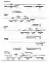 Fig. 04 - Oxa1p enhanced protein secretion