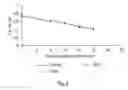Fig. 04 - Agent for protein precipitation, a method of protein precipitation, a method of protein assay using protein precipitation agent, and a kit for protein assay