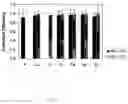 Fig. 03 - Impurity measuring method for Ge substrates