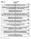 Fig. 10 - Isotropic polycrystalline silicon