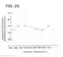 Fig. 22 - Low defect density, ideal oxygen precipitating silicon
