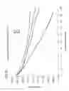 Fig. 33 - Low defect density, ideal oxygen precipitating silicon