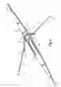 Fig. 02 - Method and apparatus of information systems for rowers