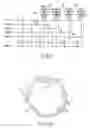 Fig. 07 - Shift operation apparatus for outboard motor, electronic remote control apparatus for medium-sized boat, and engine control apparatus