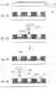 Fig. 08 - Luminescent device and method of manufacturing same