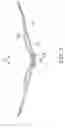 Fig. 04 - Motion toy