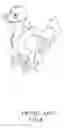 Fig. 09 - Motion toy