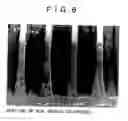 Fig. 07 - Method of forming fine partition walls, method of producing planar display device, and abrasive for jet processing