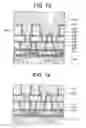 Fig. 07 - Polishing apparatus