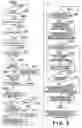 Fig. 09 - Communication apparatus and system, and control method