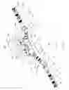 Fig. 09 - Cam bar centering mechanism