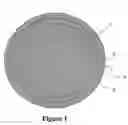 Fig. 02 - Golf ball