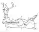 Fig. 01 - Elliptical byke