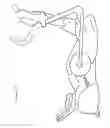 Fig. 04 - Elliptical byke