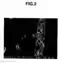 Fig. 03 - Exhaust gas purifying catalyst and method of producing same