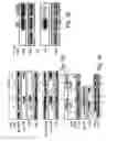 Fig. 04 - Methods and compositions for modulating beta-catenin phosphorylation