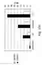 Fig. 19 - Methods and compositions for modulating beta-catenin phosphorylation