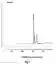 Fig. 06 - Monomeric insulin