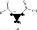 Fig. 05 - Antibacterial agents