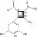 Fig. 06 - Antibacterial agents