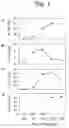 Fig. 02 - Preventives/remedies for bone/joint diseases