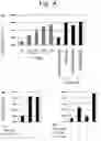 Fig. 05 - Preventives/remedies for bone/joint diseases